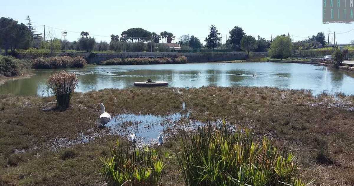 Conversano e i suoi laghi: i segreti di quegli insoliti e pittoreschi specchi d'acqua